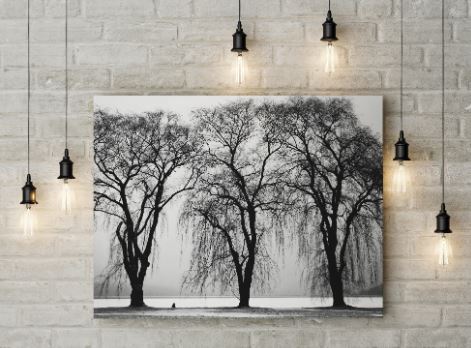 nature-black-and-white-canvas